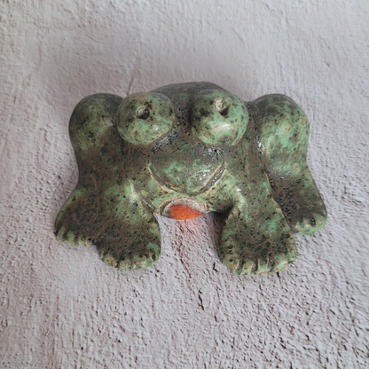 frog made of clay